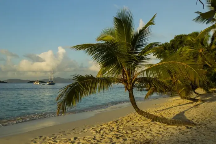 Framed Print : Caribbean, USA Virgin Islands. Beach scenic