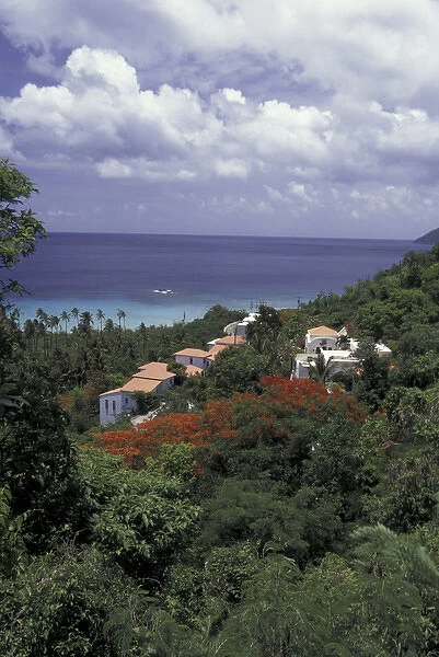 CARIBBEAN, USVI, Saint Croix Villas on the hillside