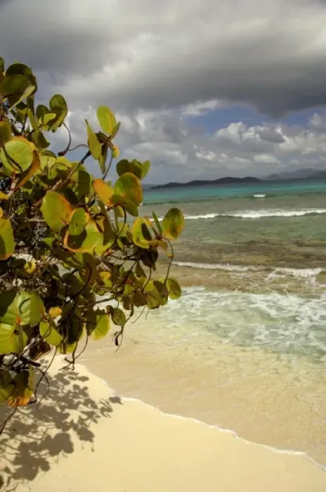 Framed Print : Caribbean, US Virgin Islands Framed Print : Caribbean, US Virgin Islands