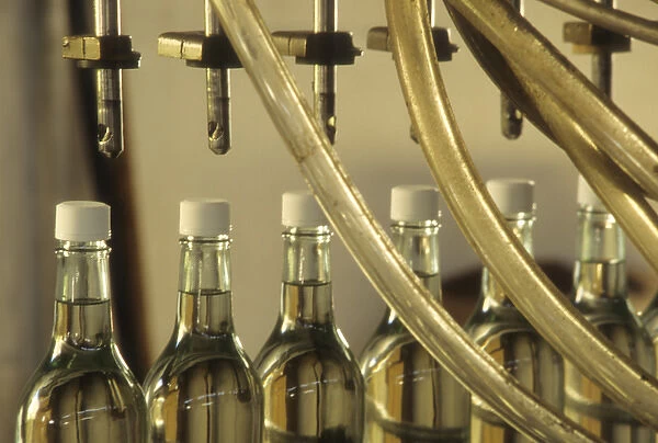 Caribbean: US Virgin Islands, St Croix, detail of bottles along assembly line at