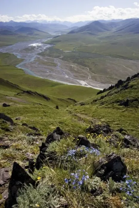Framed Print : Caribou Pass and Kongakut River Valley - Arctic National Wildlife Refuge, Alaska