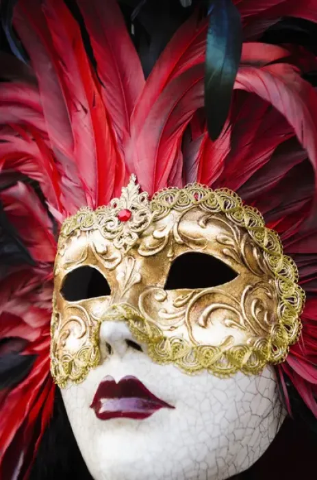Framed Print : Carnival mask, Venice, Veneto, Italy Framed Print : Carnival mask, Venice, Veneto, Italy