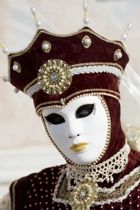 Framed Print : Carnival Venice Italy Masked Costumes