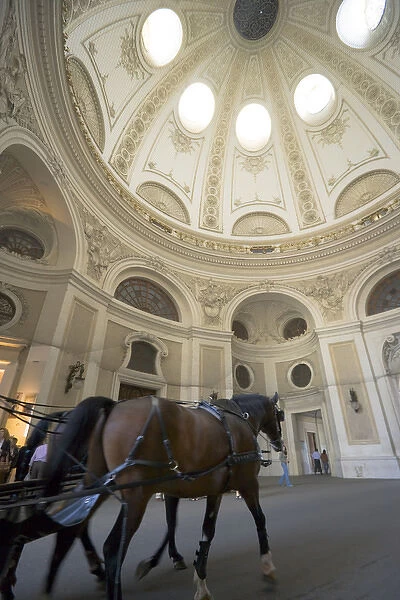 Carriage horses (Fiaker) inside Michaelertor of Hofburg Imperial Palace, Vienna, Austria
