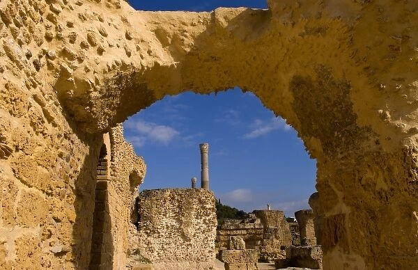 Carthage Tunisia old city with Roman baths of Antoninus Pius in 138 AC in Africa