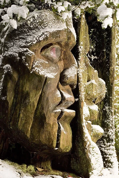 Carving, Stanley Park, British Columbia (Artist Unknown)