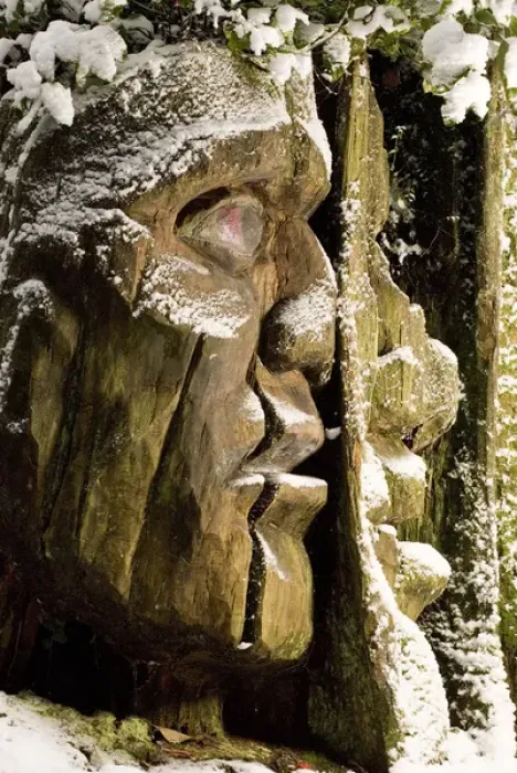 Framed Print : Carving, Stanley Park, British Columbia (Artist Unknown)