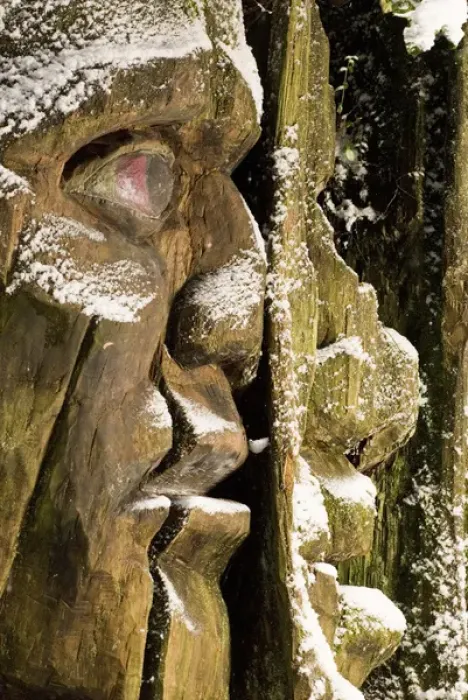 Framed Print : Carving, Stanley Park, British Columbia (Artist Unknown)