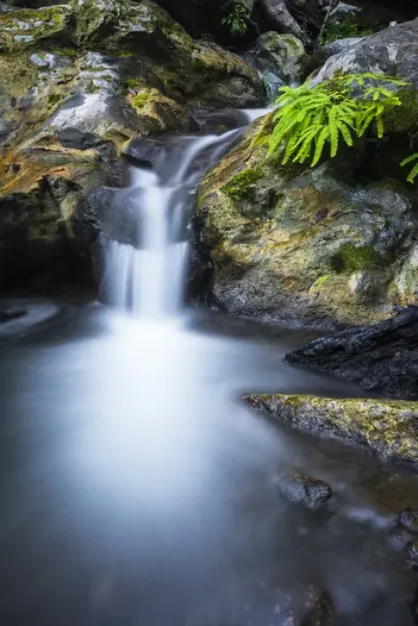 Framed Print : Cascade on Limekiln Creek, Limekiln State Park, Big Sur, California USA