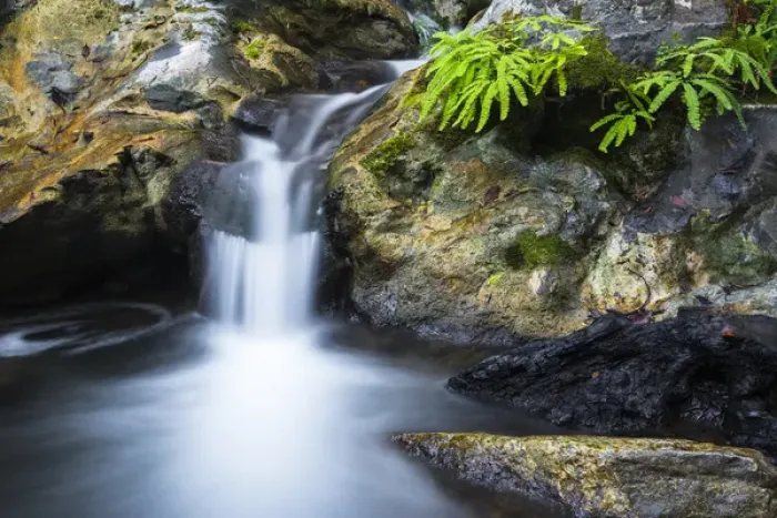 Framed Print : Cascade on Limekiln Creek, Limekiln State Park, Big Sur, California USA Framed Print : Cascade on Limekiln Creek, Limekiln State Park, Big Sur, California USA