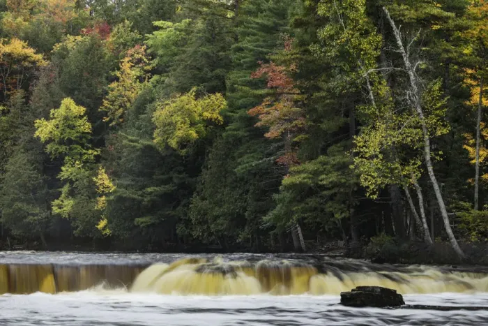 Framed Print : Cascade on lower section of Tahquamenon Falls, Tahquamenon Falls State Park, Upper Peninsula Framed Print : Cascade on lower section of Tahquamenon Falls, Tahquamenon Falls State Park, Upper Peninsula