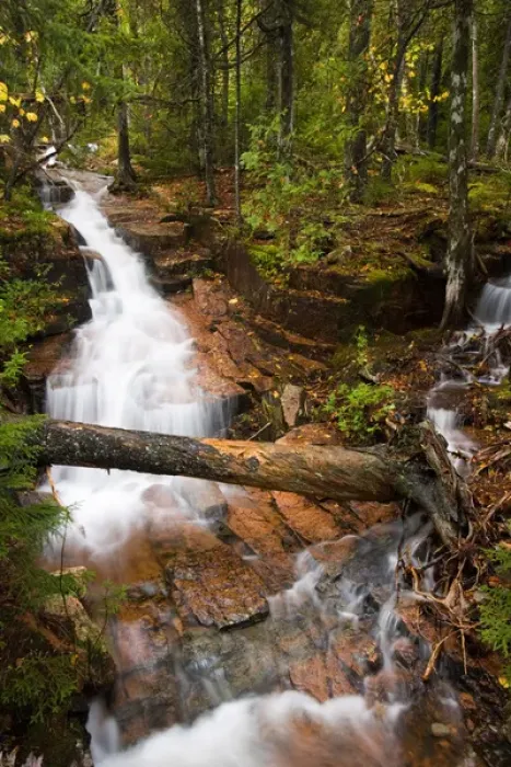 Framed Print : Cascades on Deer Brook in Maines Acadia National Park