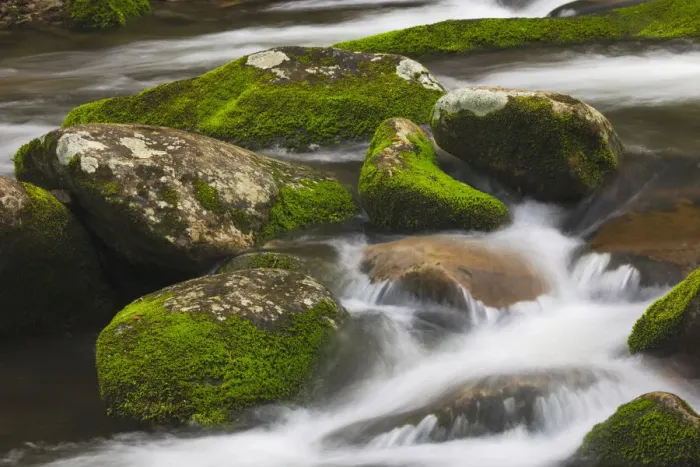 Framed Print : Cascading mountain stream, Great Smoky Mountains National Park, Tennessee, North Carolina