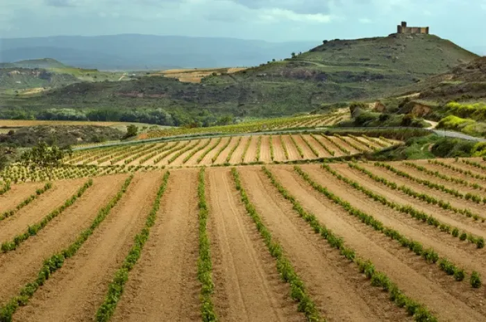 Framed Print : Castle overlooks vineyards along the San Vicente to Banos de Ebro Road in the La Framed Print : Castle overlooks vineyards along the San Vicente to Banos de Ebro Road in the La