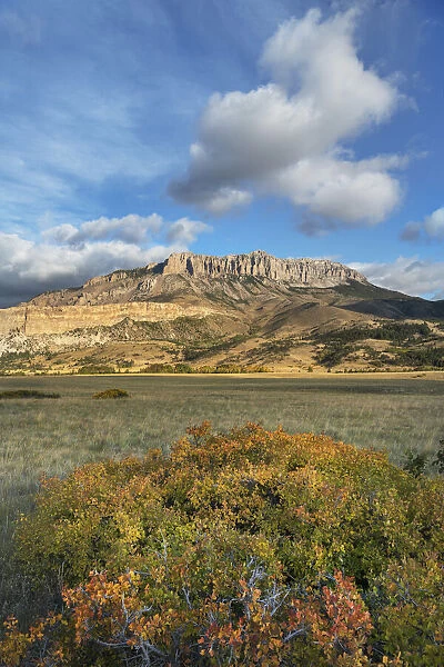 Castle Reef Mountain. Rocky Mountain front ranges near Augusta, Montana