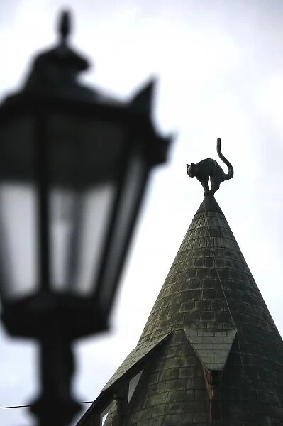 The cat statue locating on the roof top of famous cat house. Riga. Latvia