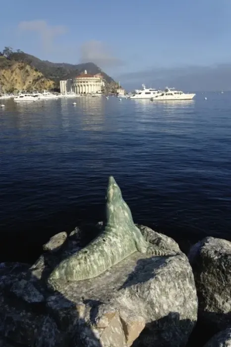 Framed Print : Catalina Harbor, Catalina Island, California