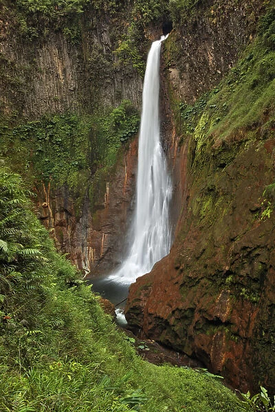 Catarata Del Toro Waterfall, in the mountains of Bajos del Toro Amarillo, Sarchi, Costa Rica
