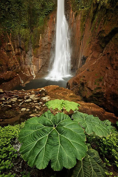 Catarata Del Toro Waterfall, in the mountains of Bajos del Toro Amarillo, Sarchi, Costa Rica