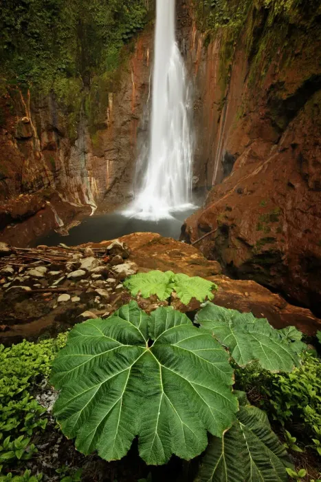 Framed Print : Catarata Del Toro Waterfall, in the mountains of Bajos del Toro Amarillo, Sarchi, Costa Rica Framed Print : Catarata Del Toro Waterfall, in the mountains of Bajos del Toro Amarillo, Sarchi, Costa Rica
