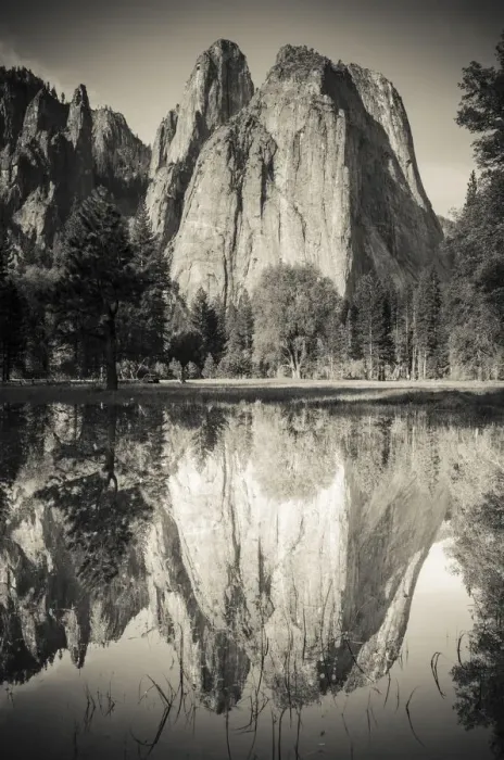 Framed Print : Cathedral Rocks reflected in pond, Yosemite National Park, California