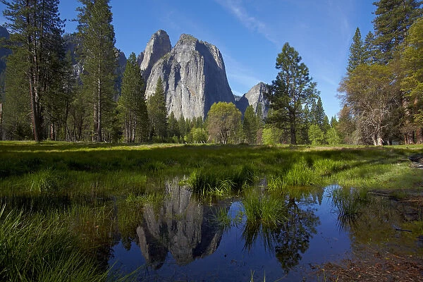 Cathedral Rocks reflected in a pond in Yosemite Valley, Yosemite National Park, California