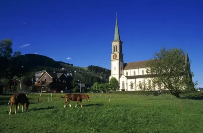 Framed Print : Catholic Church and horses, Unteraegeri, Switzerland
