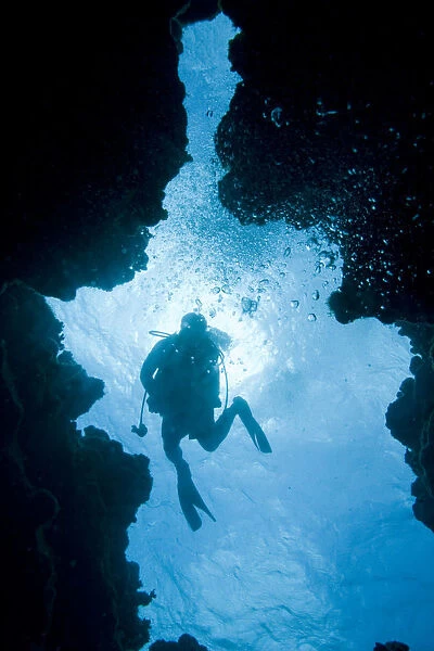 Cayman Islands, Grand Cayman Island, Scuba diver swimming near coral reef at Eden
