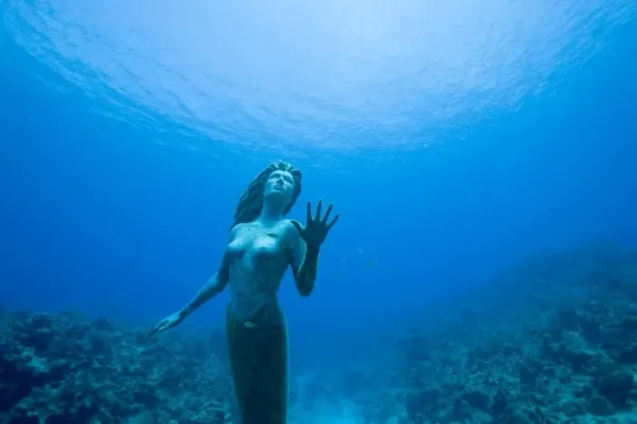 Framed Print : Cayman Islands, Grand Cayman Island, Underwater view mermaid sculpture in shallow Framed Print : Cayman Islands, Grand Cayman Island, Underwater view mermaid sculpture in shallow