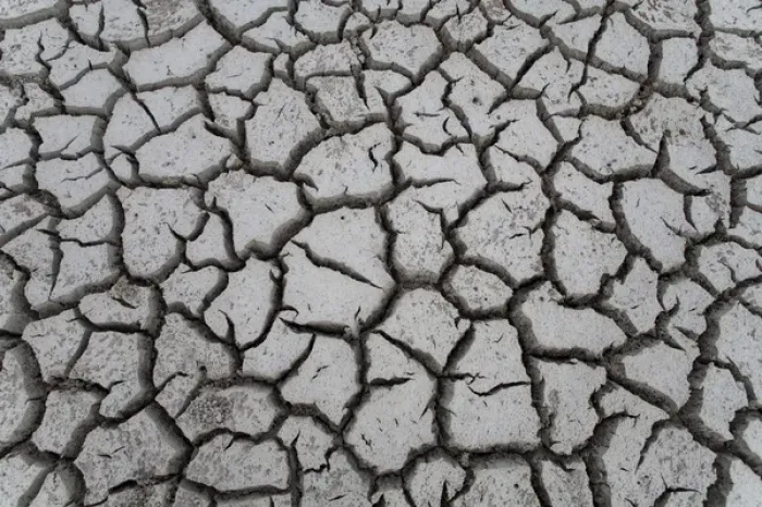 Framed Print : Cayman Islands, Little Cayman Island, Cracked mud of dry lake bottom at Booby Pond Framed Print : Cayman Islands, Little Cayman Island, Cracked mud of dry lake bottom at Booby Pond
