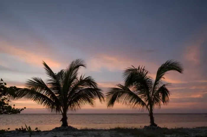 Framed Print : Cayman Islands, Little Cayman Island, Silhouette of palm trees as sunset lights clouds