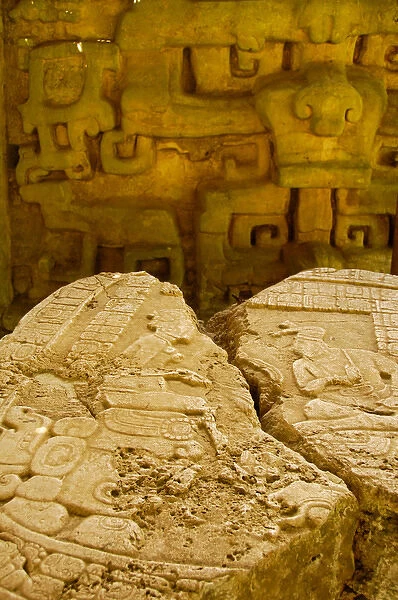 Central America, Belize, Chiquibul Forest Reserve, Caracol. Stone carvings of Altar 12