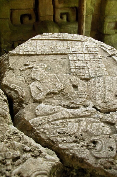 Central America, Belize, Chiquibul Forest Reserve, Caracol. Stone carving of altar 12