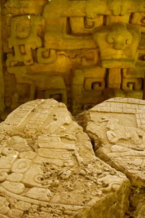 Framed Print : Central America, Belize, Chiquibul Forest Reserve, Caracol. Stone carvings of Altar 12 Framed Print : Central America, Belize, Chiquibul Forest Reserve, Caracol. Stone carvings of Altar 12
