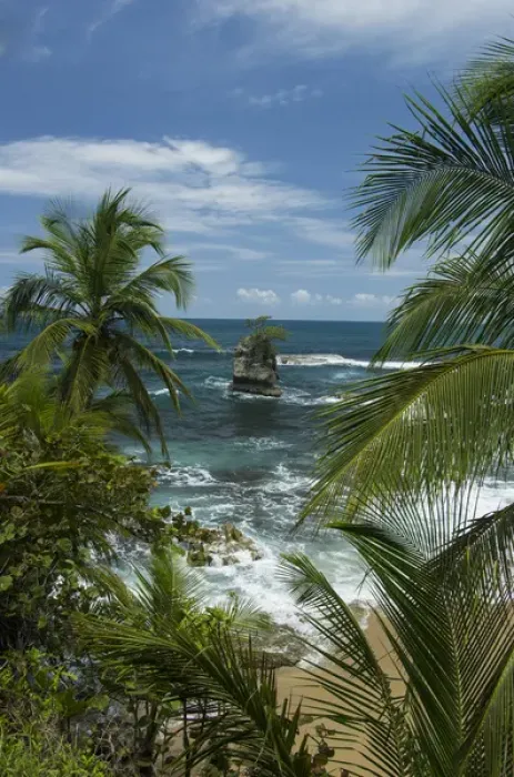 Framed Print : Central America, Centro America, Latin America, Latin, tropical, Costa Rica, Puerto Viejo Framed Print : Central America, Centro America, Latin America, Latin, tropical, Costa Rica, Puerto Viejo