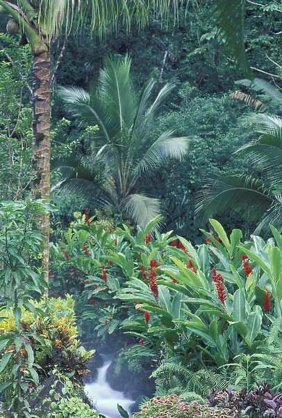 Central America, Costa Rica, Arenal Hot Springs. Tabacon Resort, Hot Spring Gardens