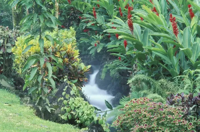 Framed Print : Central America, Costa Rica, Arenal Hot Springs. Tabacon Resort, Hot Spring Gardens Framed Print : Central America, Costa Rica, Arenal Hot Springs. Tabacon Resort, Hot Spring Gardens