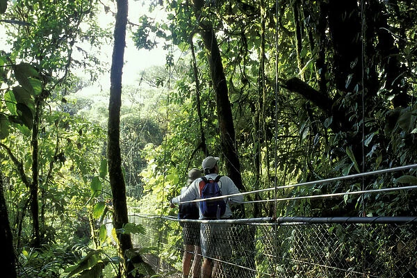 Central America, Costa Rica, Monteverde Cloud Forest Hikers on suspension bridge