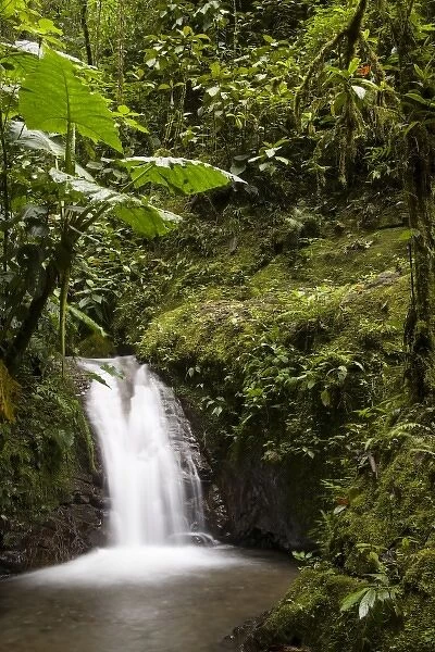 Central America, Ecuador