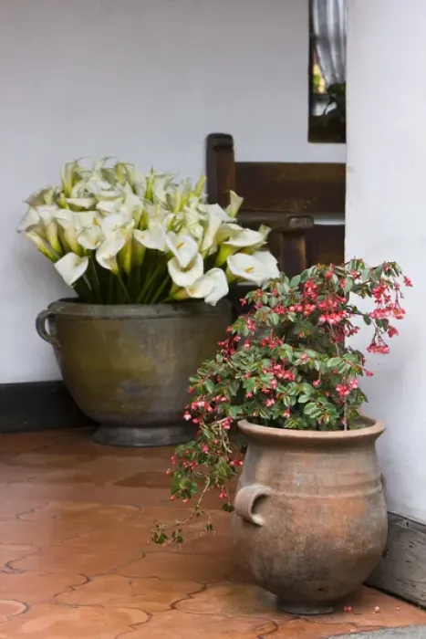 Framed Print : Central America, Guatemala, Chichicastenango. Potted flowers in hotel lobby