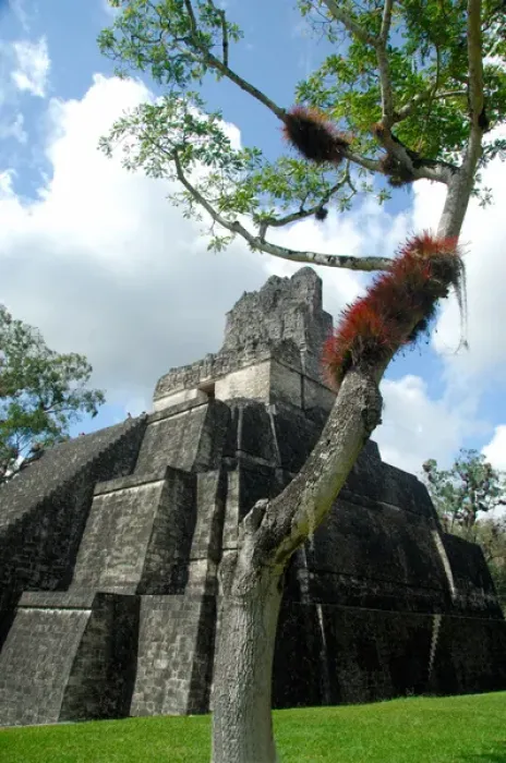 Framed Print : Central America, Guatemala, Petan jungle, Tikal National Park. Main Plaza, temple number 1