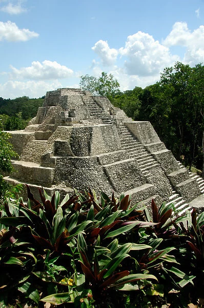 Central America, Guatemala, Yaxha. Classic Mayan pyramid