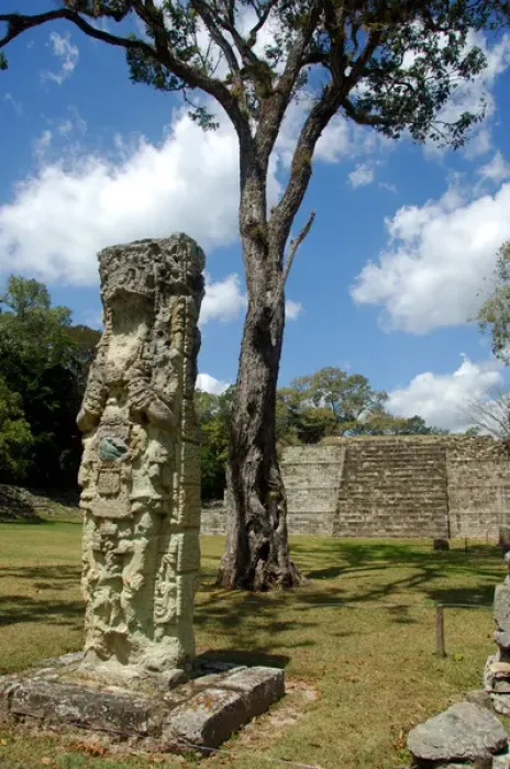 Framed Print : Central America, Honduras, Copan (aka Xukpi in Maya). Ruins of Classic Period Mayan civilization Framed Print : Central America, Honduras, Copan (aka Xukpi in Maya). Ruins of Classic Period Mayan civilization