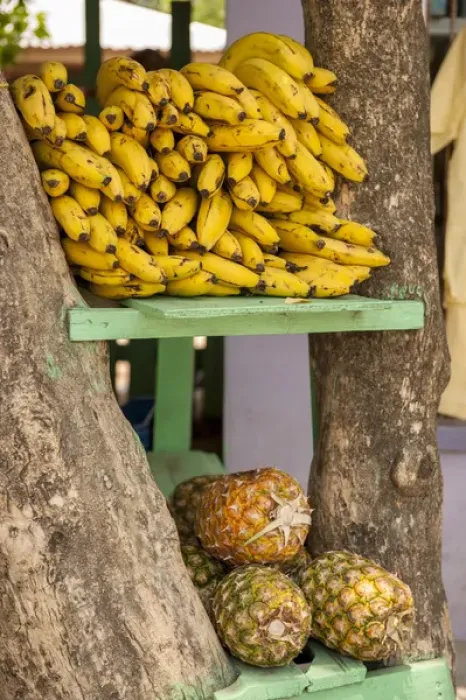 Framed Print : Central America, Honduras, Roatan, West End Village, fruit, bananas and pineapple Framed Print : Central America, Honduras, Roatan, West End Village, fruit, bananas and pineapple