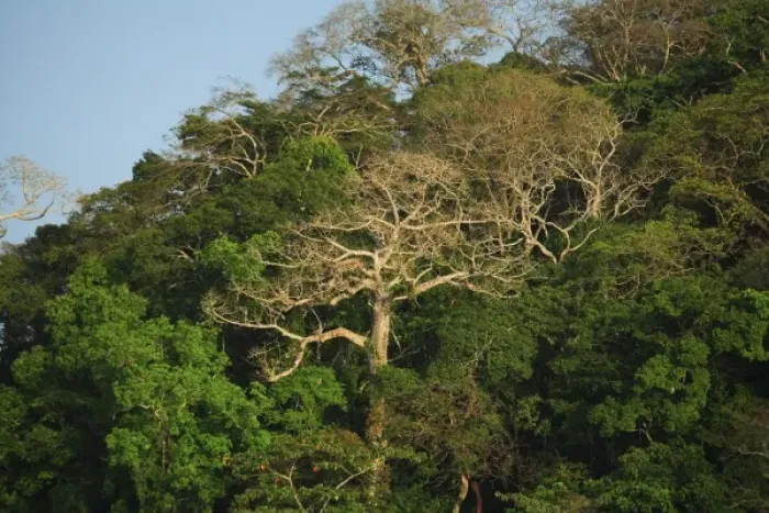 Framed Print : Central America, Panama