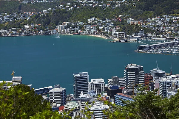 Central Business District, Wellington Harbour and Oriental Bay, Wellington, North Island, New Zealand