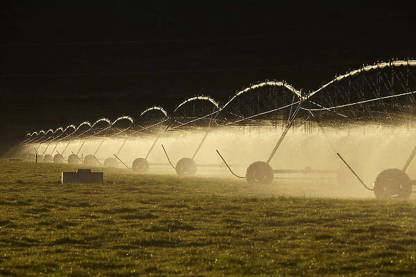 Centre pivot irrigation, near Twizel, Mackenzie District, South Canterbury, South Island