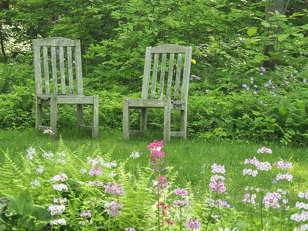 Chairs in a garden of wildflowers