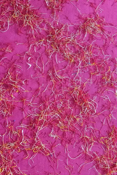 Framed Print : Chanda Haro, Pampore, Jammu and Kashmir, India. Pistils from saffron crocus flowers Framed Print : Chanda Haro, Pampore, Jammu and Kashmir, India. Pistils from saffron crocus flowers