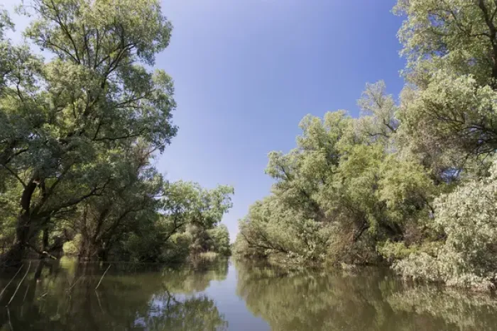 Framed Print : Channels and lakes in the Danube Delta, romania